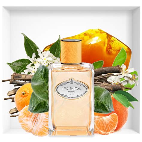 les infusions de prada mandarine|Prada mandarin citrus.